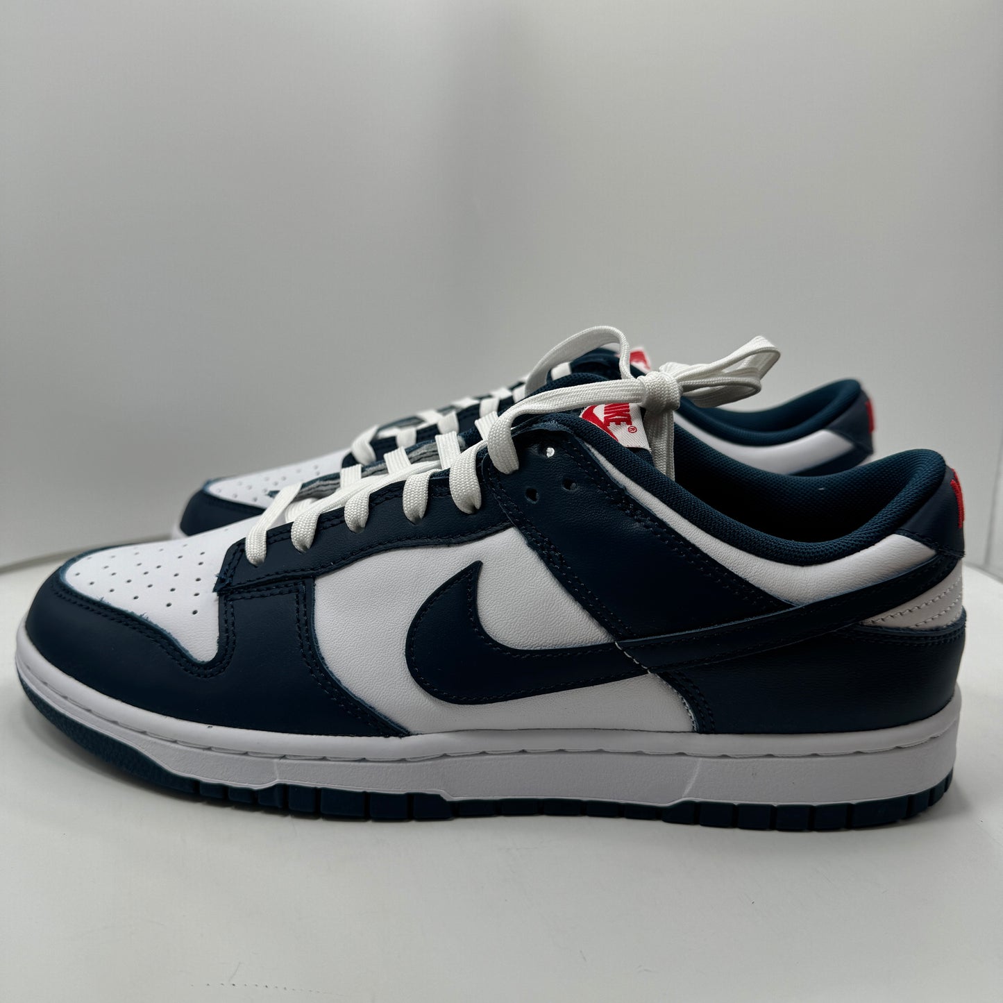 Dunk Low Valerian Blue MENS