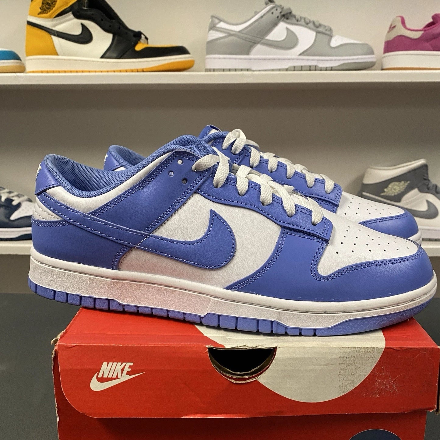 Nike Dunk Low Retro BTTYS Polar White - Size 10.5